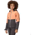 Regatta Haydenbury Softshelljakke