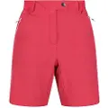 Regatta Mountain Shortsii Shorts