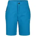 Icepeak Konz Shorts