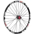 Gtr Sl35 E-bike Plus 29´´ Disc Tubeless Mtb Bakhjul