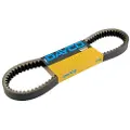 DAYCO Aprilia Scarabeo 4t 100cc Ap8551053 Transmisjonsrem