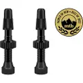 WTB tyres Presta Ventiler 2 Enheter