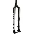 Massi Mtb Rigid Carbon 1 1/8´´ 480 Mm Mtb-gaffel