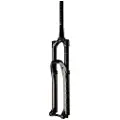 Cane Creek Helm Mark Ii Coil Mtb-gaffel