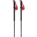 Dynafit Tour Spaserstokker