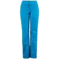 Spyder Winner Goretex Regular Bukser