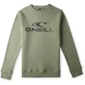 O'Neill N4750003 N4750003 Collegegenser