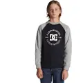 Dc-shoes Strpltrglncwb Collegegenser