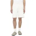 Dickies Mapleton Shorts