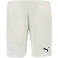 Puma Teamliga Shorts