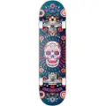 Hydroponic Mexican Co 7.75´´ Skateboard