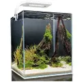 Aquael Shirmp D And N Komplett Akvarium 30l