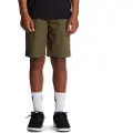 Dc-shoes Elx Chns Hoby Shorts