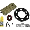 Ognibene 520-vx2 X Ring Did Ktm Exc 300 E 04-11 Transmisjonssett