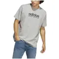 Adidas All Szn Graphic Kortarmet T-skjorte
