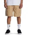Dc-shoes Tundra Cargo Shorts