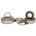Hotrods Arctic Cat Dvx 400 04-08/kawas Kfx 03-06/suz Ltz 03-13 Styrelagersett