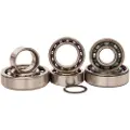 Hotrods Suzuki Rm 250 01-08 Styrelagersett