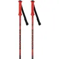 Rossignol Hero Junior Staver