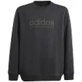 Adidas All Szn Graphic Collegegenser