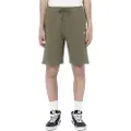 Dickies Mapleton Shorts