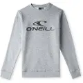 O'Neill N4750003 N4750003 Collegegenser