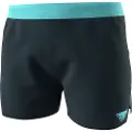 Dynafit Alpine Shorts
