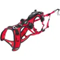 IDog Confort Trek Hundesele