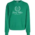 Tommy Hilfiger Ww0ww41758 Collegegenser