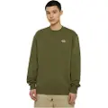 Dickies Summerdale Collegegenser