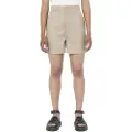 Dickies Phoenix Rec Shorts