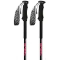 Gabel Escape Carbon Tour Lite Ai Spaserstokker