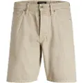 Jack & Jones Chris Cooper Am 900 Korte Jeans