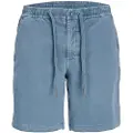 Jack & Jones Jaiden Nico Sports Shorts