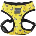 Fuzzyard Monkey Mania Hundesele