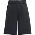 Adidas Z.n.e Shorts