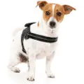 Fuzzyard Blackout Hundesele