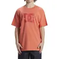 Dc-shoes Dcstar Pigment Kortarmet T-skjorte