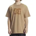 Dc-shoes Dcstar Pigment Kortarmet T-skjorte