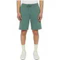 Dickies Mapleton Shorts