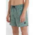 O'Neill Mix & Match Cali Print 15'' Boardshorts grønn