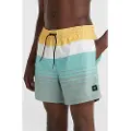 O'Neill Mix&match Cali Print 15´´ Badebukse