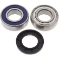 All Balls 14-1062 Ski Doo Lager-og Tetningssett For Differensial