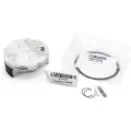 Wössner Kawasaki Kx 250 21 8989da Stempelsett