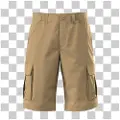 Timberland Brookline Poplin Cargo Shorts