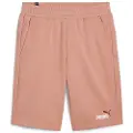 Puma Ess+ 2 Col 10´´ Shorts