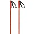 Salomon Polar Spaserstokker