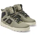 Dc-shoes Pure High-Top WR Winter Sko grønn