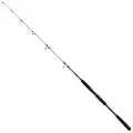 Mitchell Tanager Sw Jigging Stang