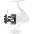 Daiwa Prorex Mq Lt 2022 Ekstraspole